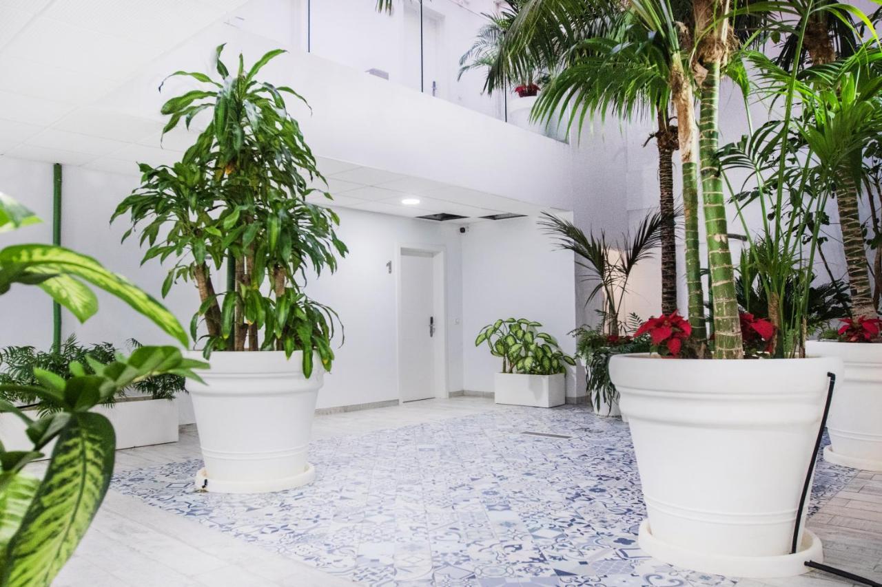 Coccoloba Suites Κοραλέχο Εξωτερικό φωτογραφία