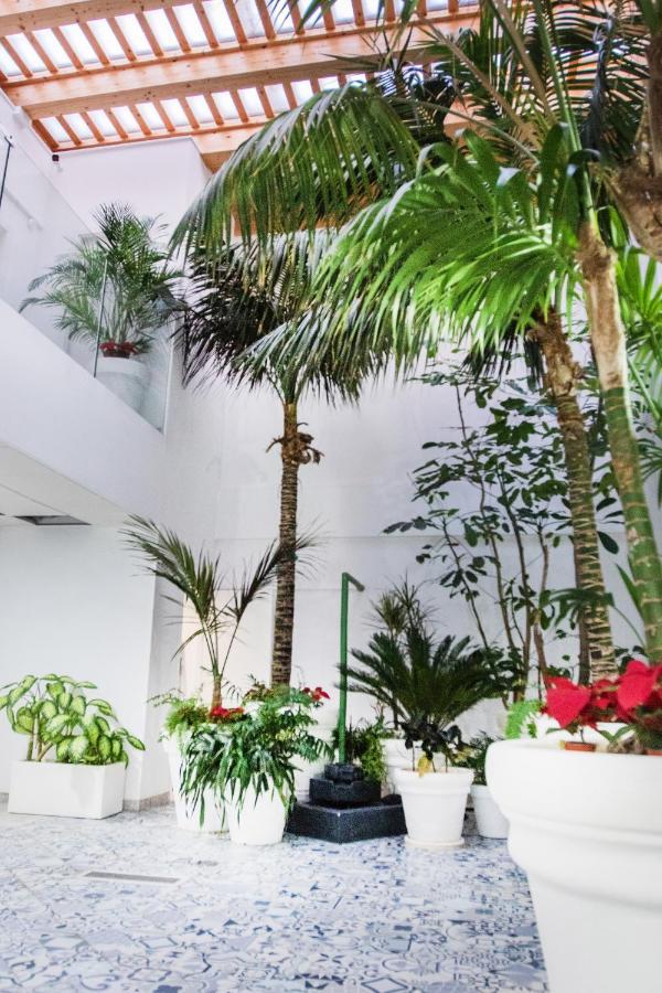 Coccoloba Suites Κοραλέχο Εξωτερικό φωτογραφία